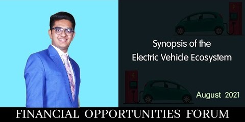 Synopsis of the Electric Vehicle Ecosystem