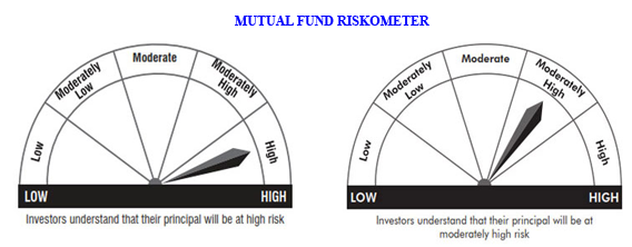 What is a 'Riskometer'?