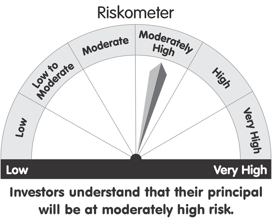 High Riskometer